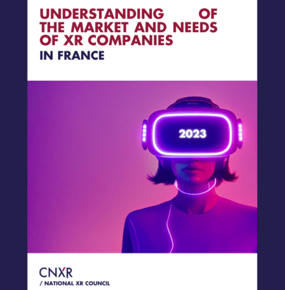 understanding the market and needs of XR companies in France